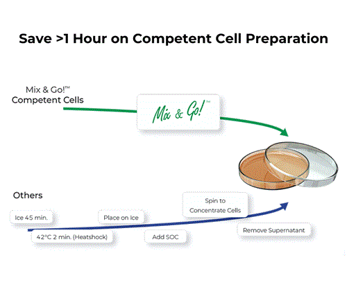 T3011 | For simple, high efficiency <i>E. coli</i> transformations without heat shock and lengthy incubations.