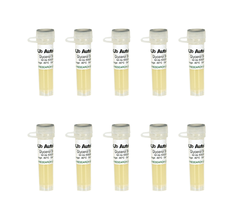 T3041 | Simple, fast, and controlled autolysis of <i>E. coli</i> for protein expression and purification.