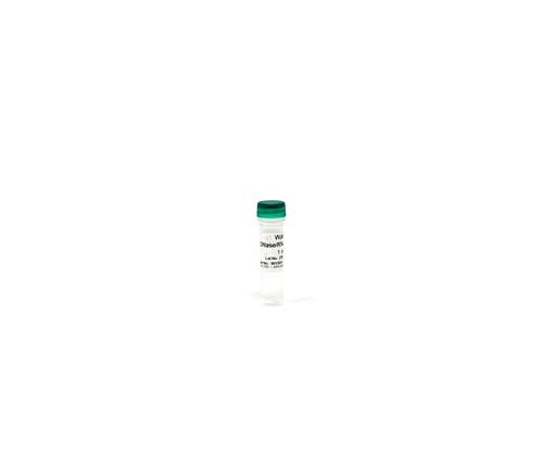 W1001-10 | DNase/RNase-Free Water (Nuclease-Free Water) is designed tor use in all DNA/RNA and molecular biology applications.