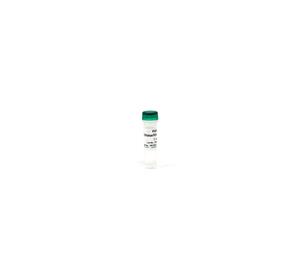W1001-10 | DNase/RNase-Free Water (Nuclease-Free Water) is designed tor use in all DNA/RNA and molecular biology applications.