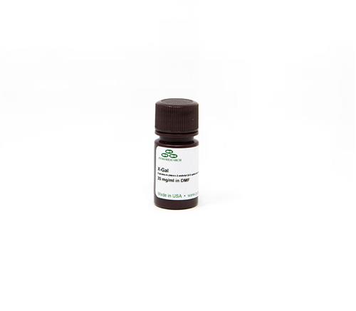 X1001-25 | Ready-to-use sterile solution for detecting ß-galactosidase activity.