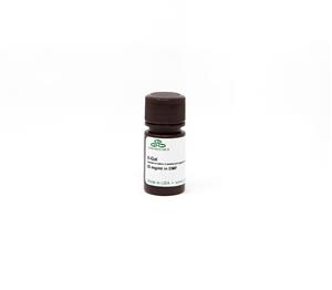X1001-25 | Ready-to-use sterile solution for detecting ß-galactosidase activity.